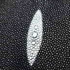 Black Stingray Bag