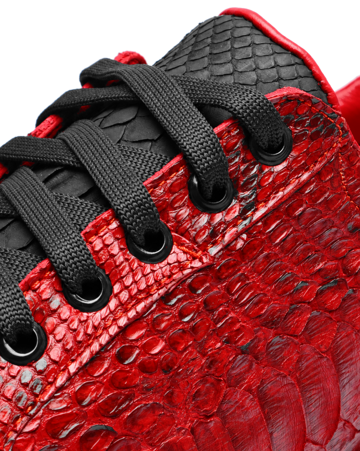 Red and Black Python Stingray Low Top Sneakers